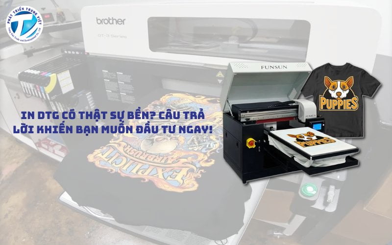 In DTG Có Thật Sự Bền? Câu Trả Lời Khiến Bạn Muốn Đầu Tư Ngay